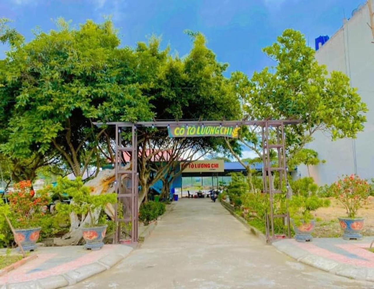 Co To Luong Chi * Quang Ninh (Quang Ninh)