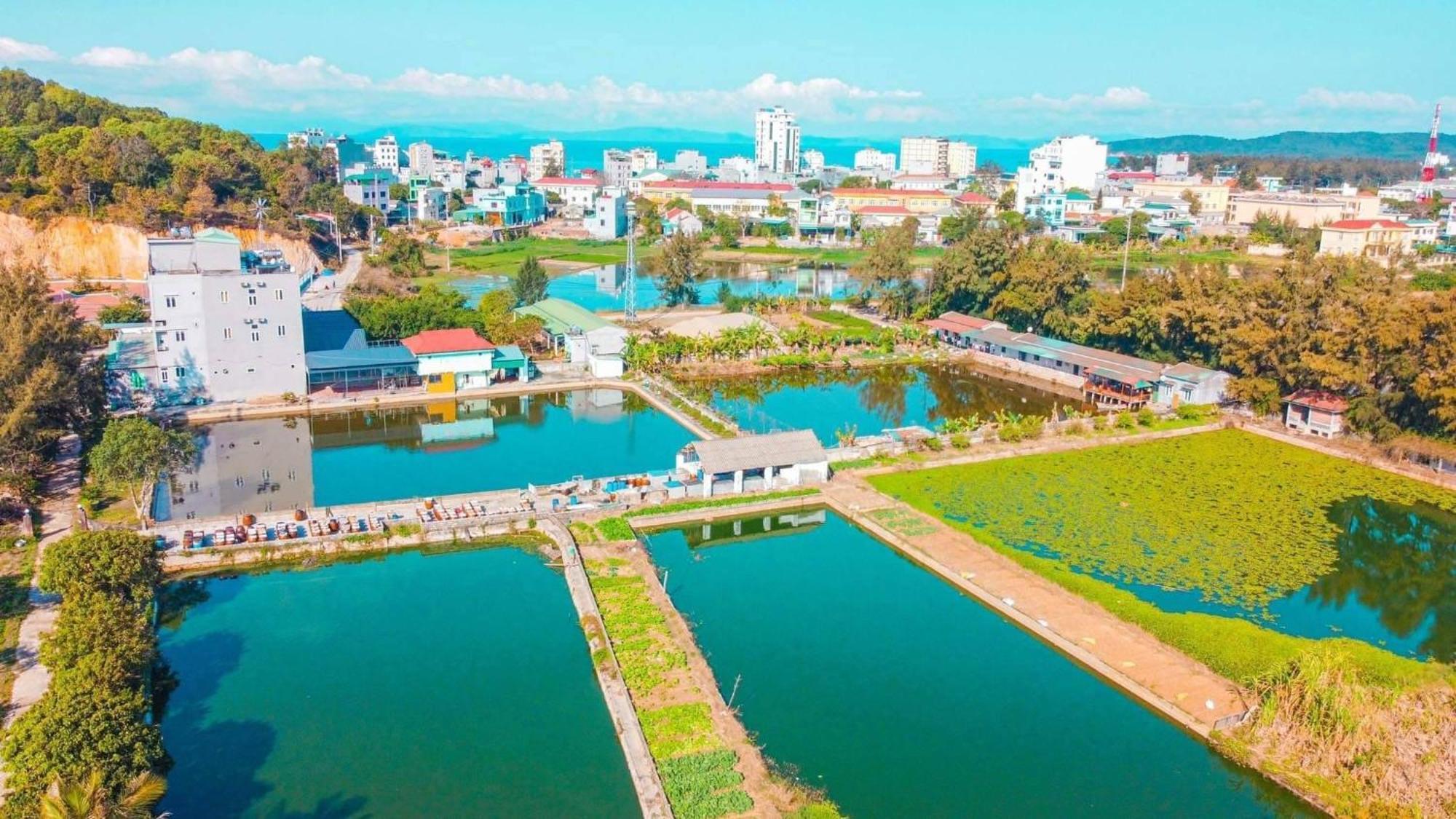Co To Luong Chi Farm stay