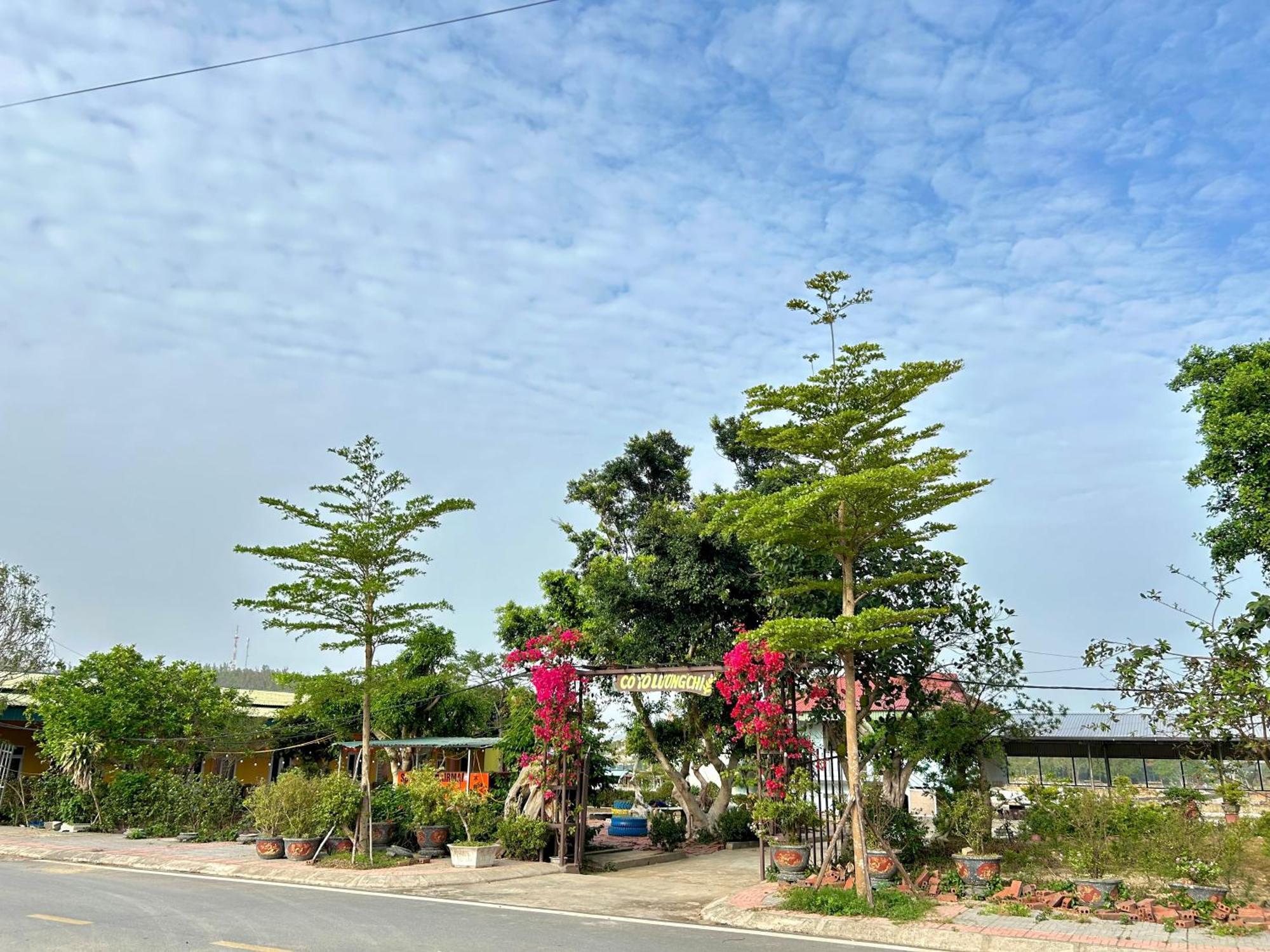 Farm stay Co To Luong Chi *