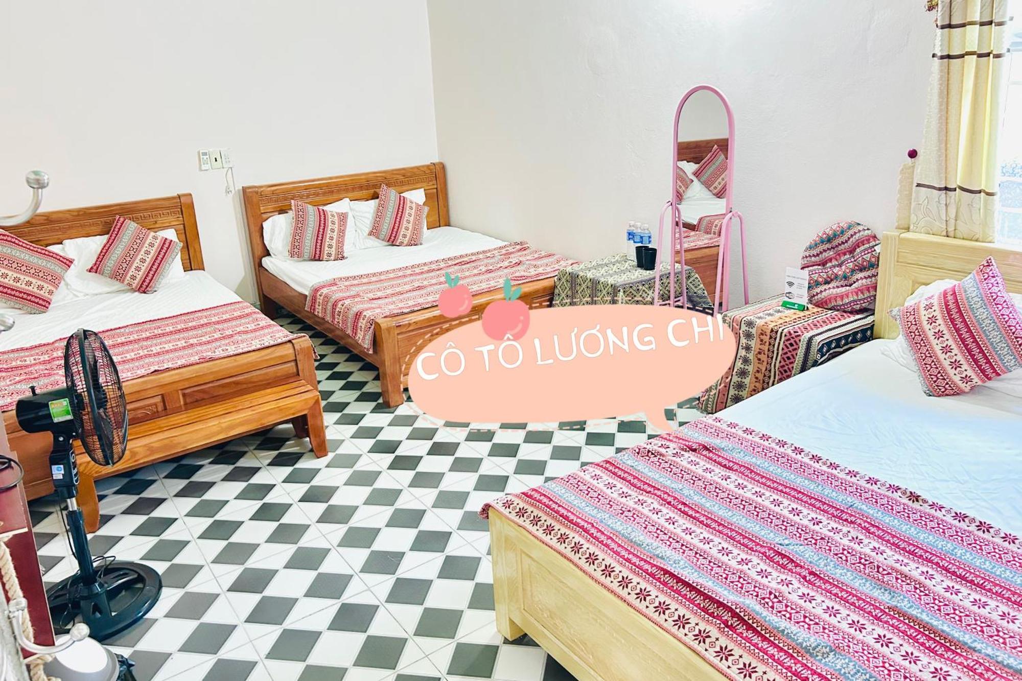 Co To Luong Chi Farm stay Quang Ninh (Quang Ninh)